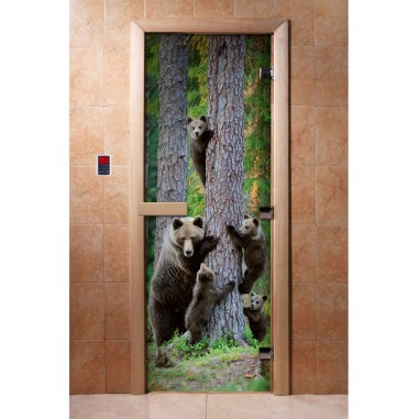 Дверь для бани DoorWood Фотопечать А064, 1800x700 мм