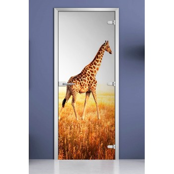 Стеклянная межкомнатная дверь DoorWood с фотопечатью Animals-14, 2000х700 мм