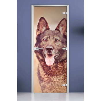 Стеклянная межкомнатная дверь DoorWood с фотопечатью Animals-17, 2000х600 мм
