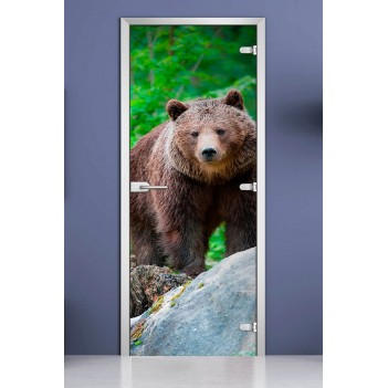 Стеклянная межкомнатная дверь DoorWood с фотопечатью Animals-03, 2000х600 мм