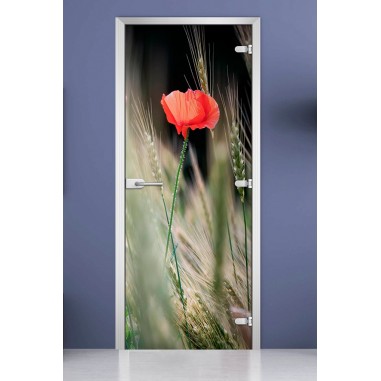 Стеклянная межкомнатная дверь DoorWood с фотопечатью Flowers-18, 2000х800 мм