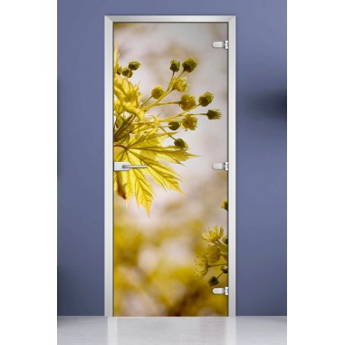 Стеклянная межкомнатная дверь DoorWood с фотопечатью Flowers-09, 2000х600 мм