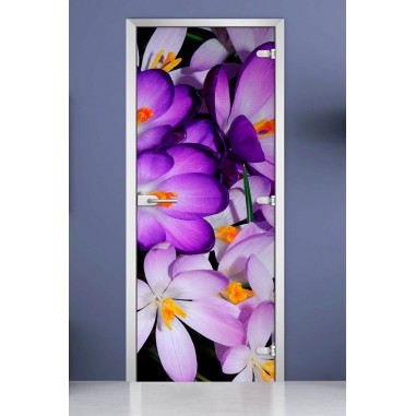 Стеклянная межкомнатная дверь DoorWood с фотопечатью Flowers-13, 2000х700 мм