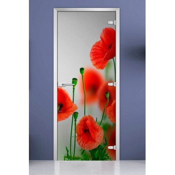 Стеклянная межкомнатная дверь DoorWood с фотопечатью Flowers-01, 2000х700 мм