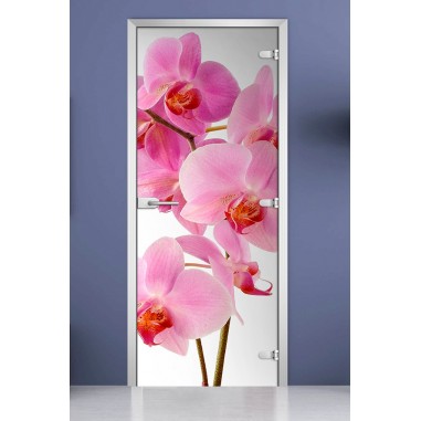 Стеклянная межкомнатная дверь DoorWood с фотопечатью Flowers-17, 2000х600 мм