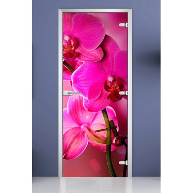 Стеклянная межкомнатная дверь DoorWood с фотопечатью Flowers-19, 2000х800 мм