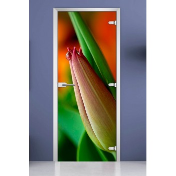 Стеклянная межкомнатная дверь DoorWood с фотопечатью Flowers-10, 2000х600 мм