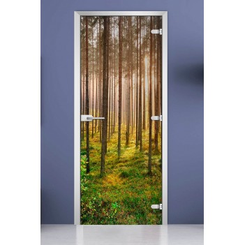 Стеклянная межкомнатная дверь DoorWood с фотопечатью Forest-13, 2000х600 мм
