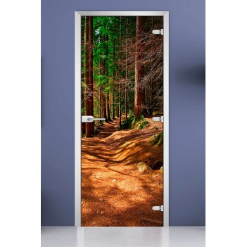 Стеклянная межкомнатная дверь DoorWood с фотопечатью Forest-17, 2000х600 мм
