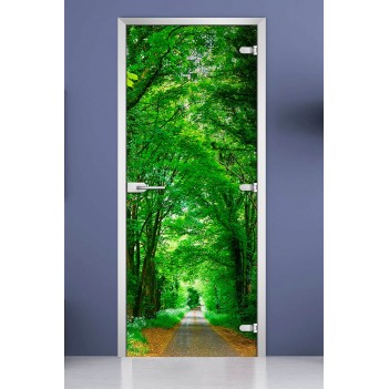 Стеклянная межкомнатная дверь DoorWood с фотопечатью Forest-05, 2000х600 мм