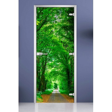 Стеклянная межкомнатная дверь DoorWood с фотопечатью Forest-05, 2000х800 мм