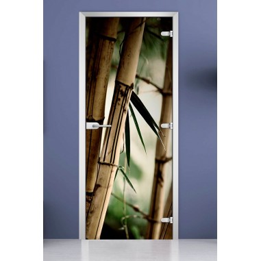 Стеклянная межкомнатная дверь DoorWood с фотопечатью Forest-19, 2000х800 мм