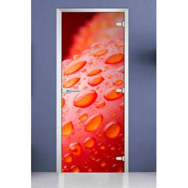Стеклянная межкомнатная дверь DoorWood с фотопечатью Fruite-18, 2000х600 мм