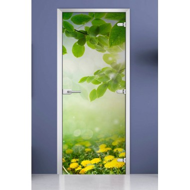 Стеклянная межкомнатная дверь DoorWood с фотопечатью Nature-19, 2000х600 мм