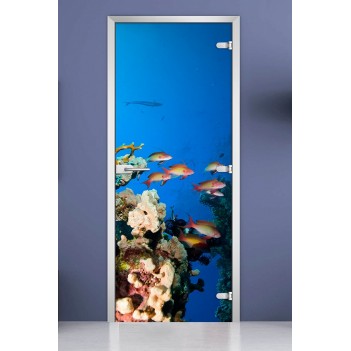 Стеклянная межкомнатная дверь DoorWood с фотопечатью Underwater World-10, 2000х600 мм