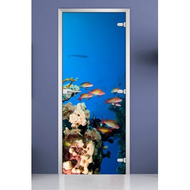 Стеклянная межкомнатная дверь DoorWood с фотопечатью Underwater World-10, 2000х700 мм