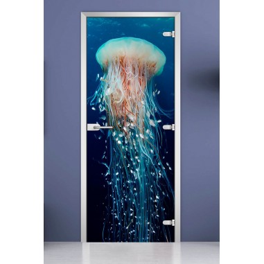 Стеклянная межкомнатная дверь DoorWood с фотопечатью Underwater World-13, 2000х600 мм