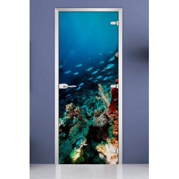 Стеклянная межкомнатная дверь DoorWood с фотопечатью Underwater World-11, 2000х600 мм