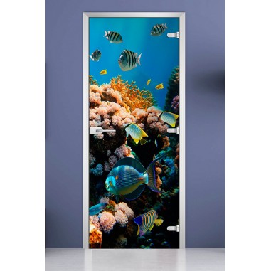 Стеклянная межкомнатная дверь DoorWood с фотопечатью Underwater World-14, 2000х800 мм