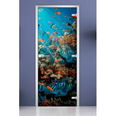 Стеклянная межкомнатная дверь DoorWood с фотопечатью Underwater World-16, 2000х800 мм