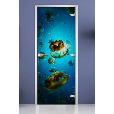 Стеклянная межкомнатная дверь DoorWood с фотопечатью Underwater World-07, 2000х700 мм