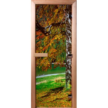 Дверь для бани DoorWood Фотопечать А089, 1900x600 мм