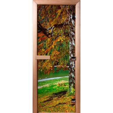 Дверь для бани DoorWood Фотопечать А089, 2000x600 мм